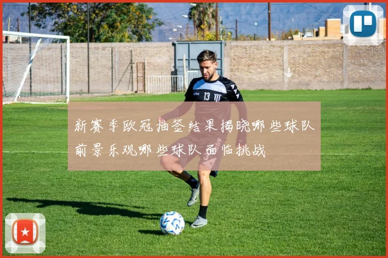 新赛季欧冠抽签结果揭晓哪些球队前景乐观哪些球队面临挑战