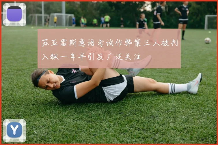 苏亚雷斯意语考试作弊案三人被判入狱一年半引发广泛关注